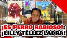 🔥🚨¡PERRO RABIOSO! ¡LILLY TÉLLEZ LADRA contra MARX ARRIAGA y la PRESIDENTA SHEINBAUM la APLASTA!