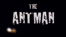 The Antman Film deutsch