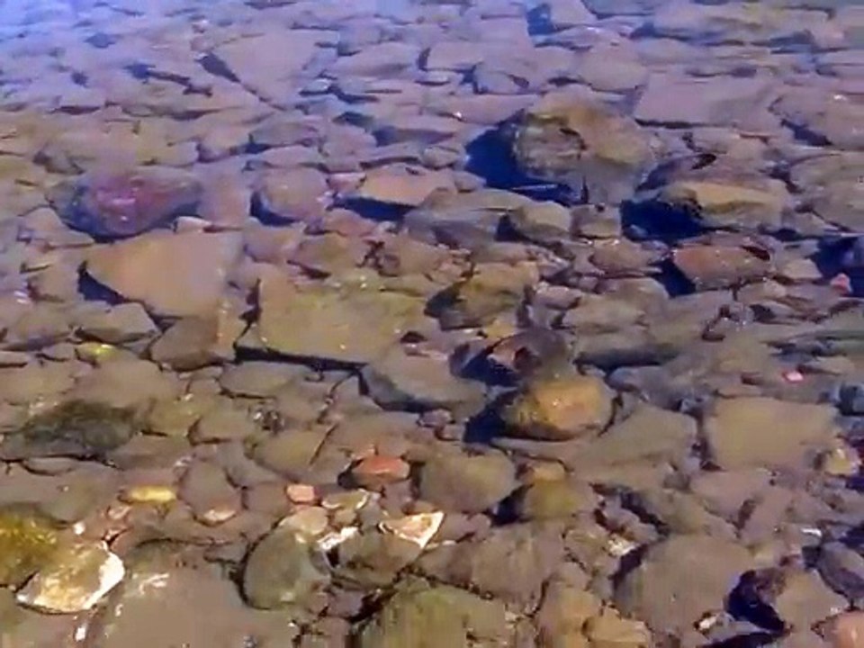 El agua sabe que volver es parte del viaje