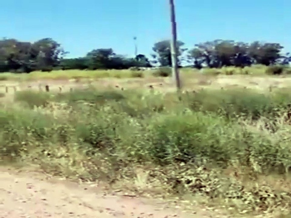 El camino no te espera, pero siempre te recibe