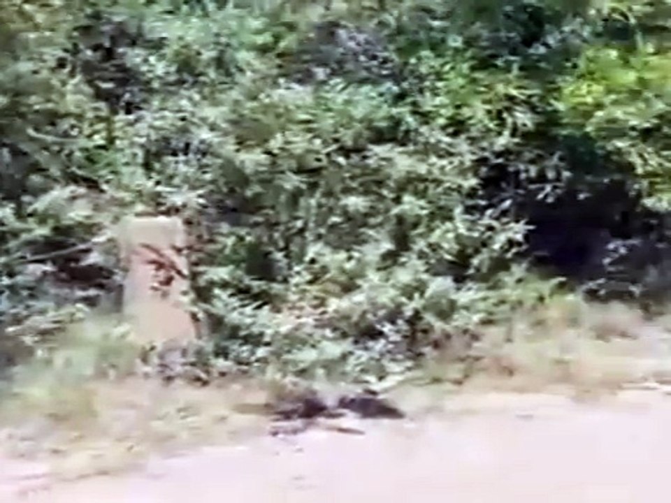 El sendero más pequeño puede llevarte al corazón del mundo