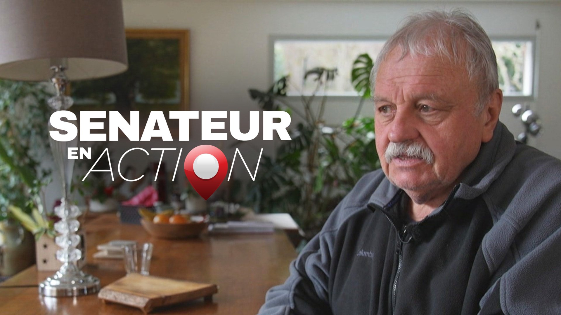 Maladie de Lyme : l'enfer du diagnostic