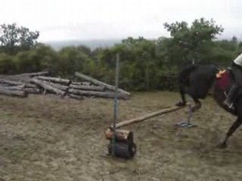 saut de 1 metre