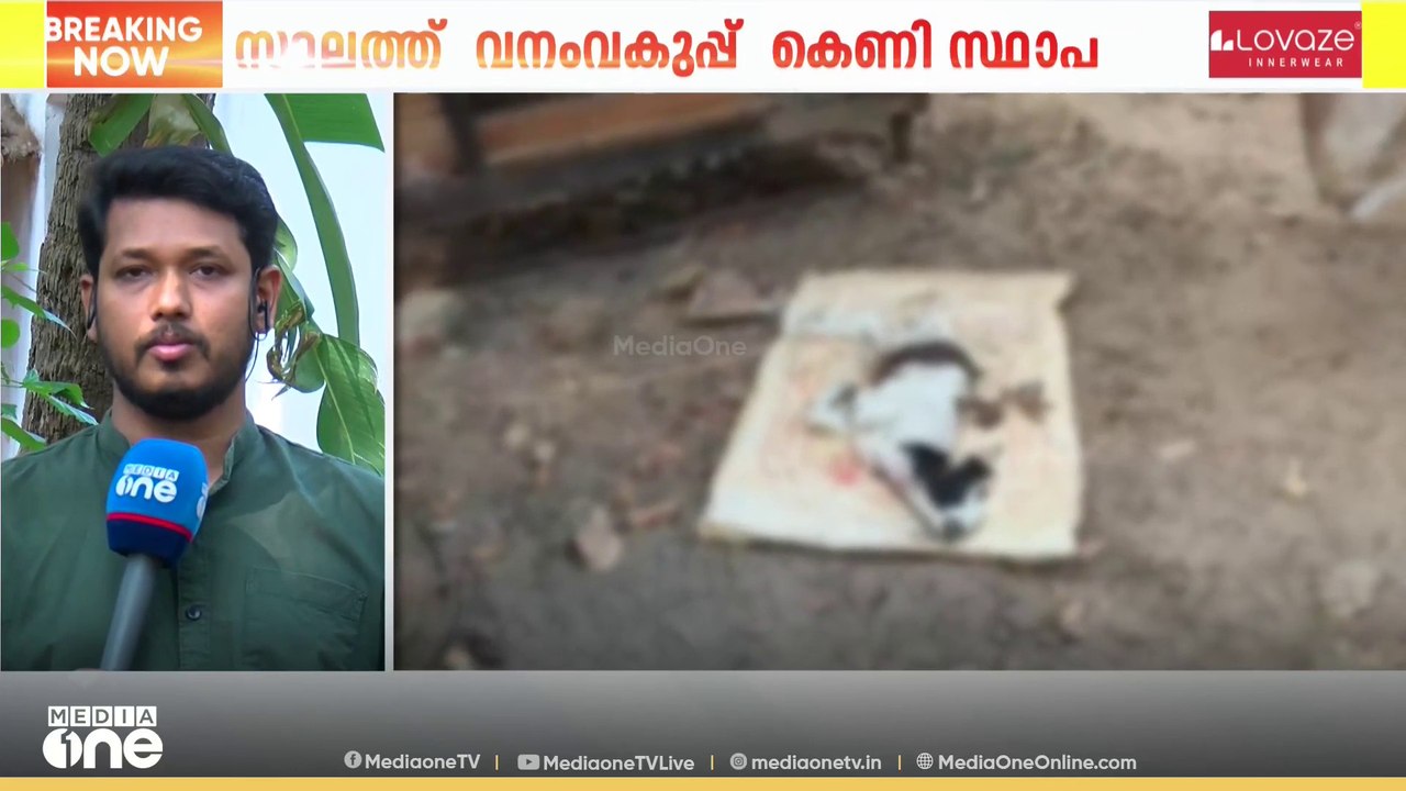 മലപ്പുറം അമരമ്പലത്ത് പുലിയുടെ അക്രമണത്തിൽ ആട്ടിൻ കുട്ടി ചത്തു