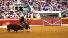 repor capea ante illescas