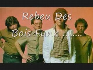 Rebeu Des Bois - nick stiker band- 1983