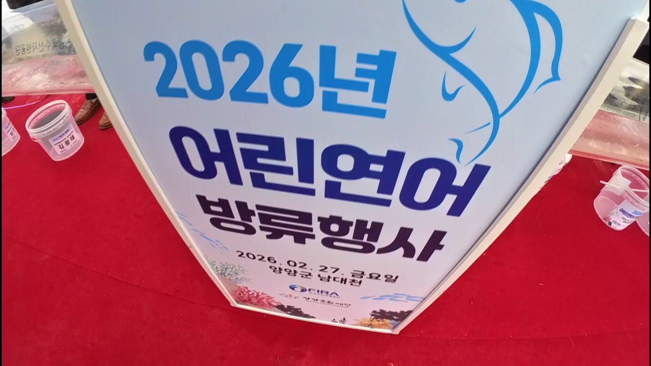 양양서 연어 10만 마리 방류...민관 협의체 구성 논의 / YTN