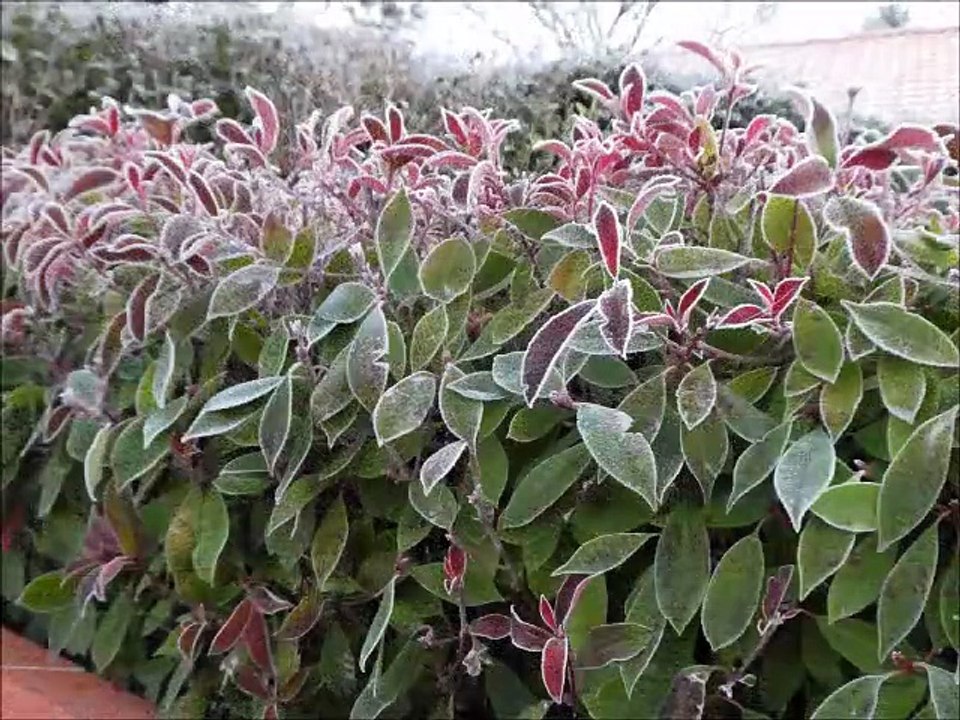 Gel en hiver