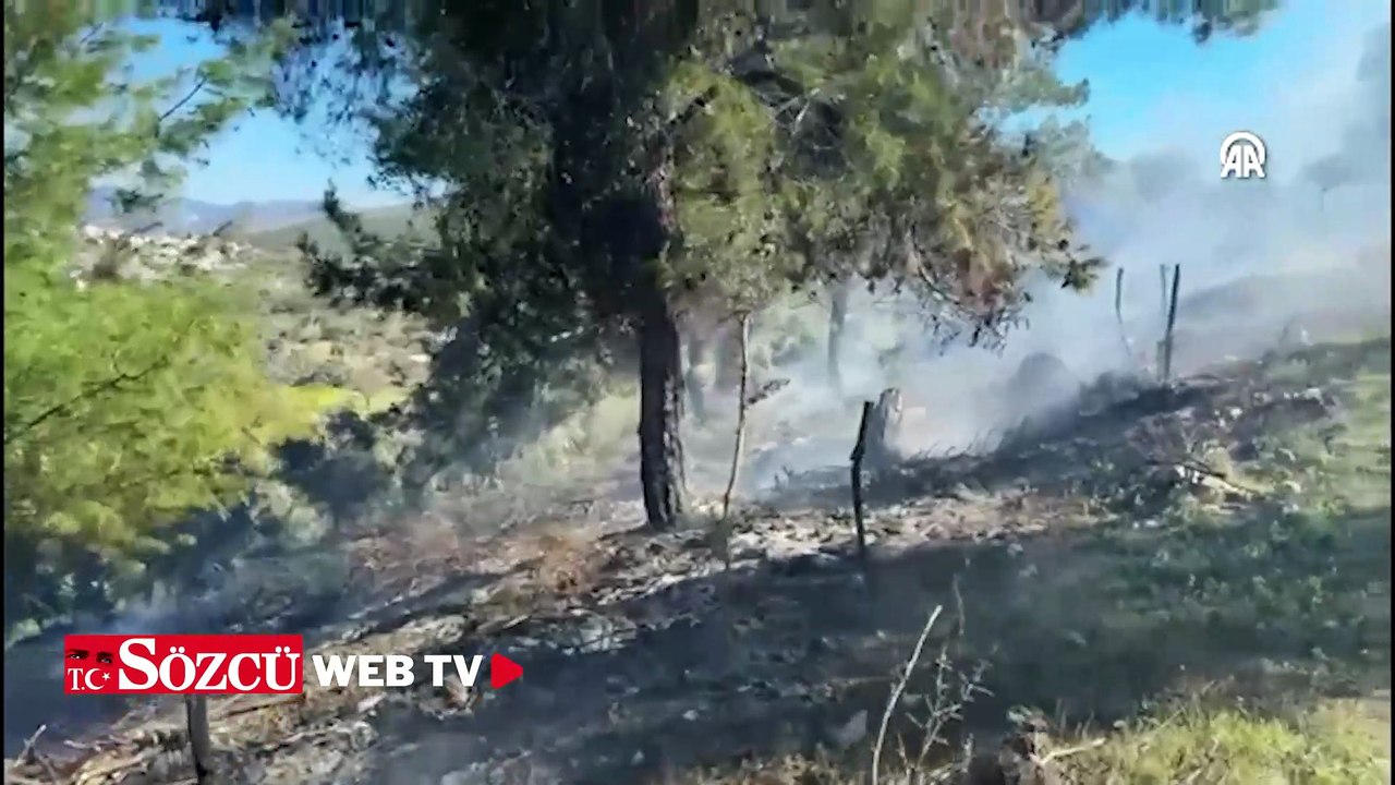 Bodrum'da ağaçlık alan yakınında çıkan yangın söndürüldü