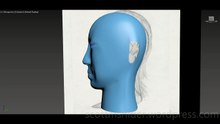 Treliving: 3DS MAX Practice Polygon Modeling Head Model Video #73 (02-27-2026)