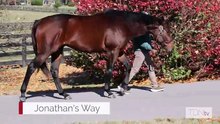 Jonathan's Way Walking Video