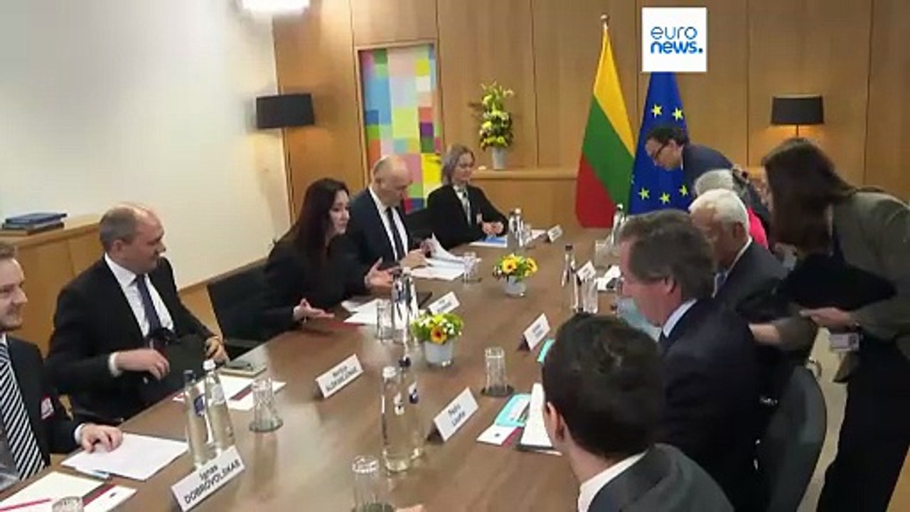 Primeira-ministra da Lituânia diz à Euronews que as alegações da Hungria sobre o oleoduto da Ucrânia são "um disparate"