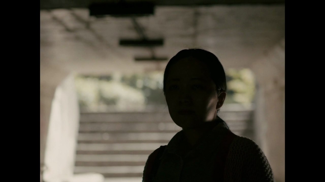 We Are the Jungle (Somos la jungla) - Tráiler