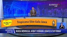 Diserang Lebah saat Bersihkan Toren, Warga Cilacap Meninggal Dunia | KOMPAS MALAM