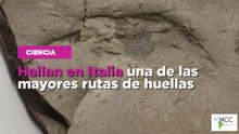 Hallan en Italia una de las mayores rutas de huellas