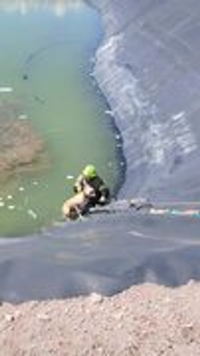 Firefighters Rescue Dog Stranded Inside Giant Pool