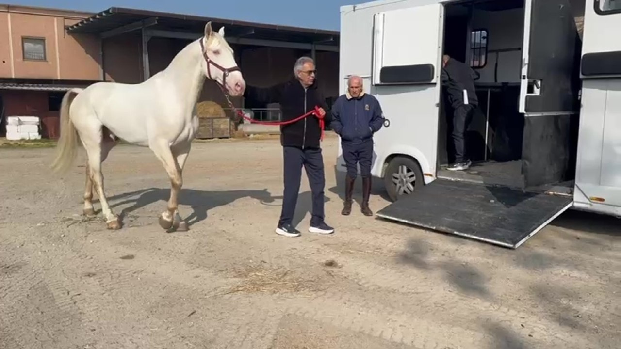 Andrea Bocelli prima della serata finale a Sanremo 2026 va a Spirano a comperare un cavallo