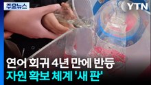연어 회귀량 4년 만에 반등...자원 확보 체계 '새 판' / YTN