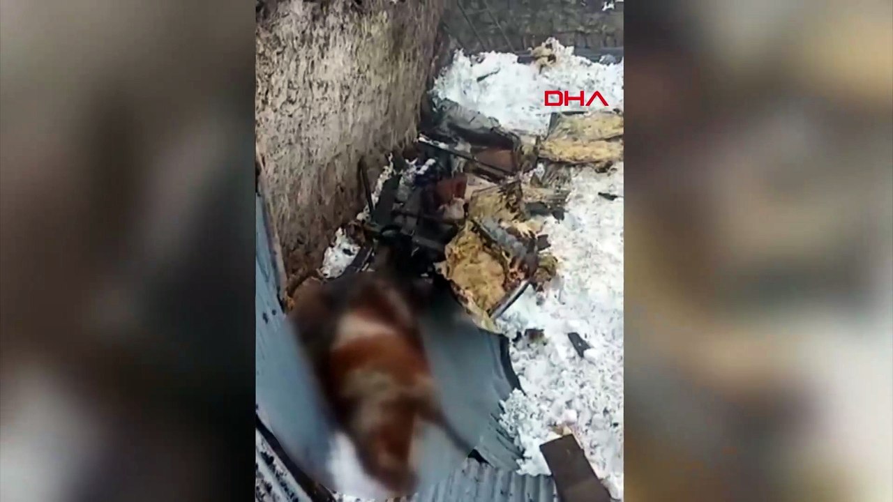Çatısında kar biriken 2 ahır çöktü; 4 büyükbaş hayvan öldü