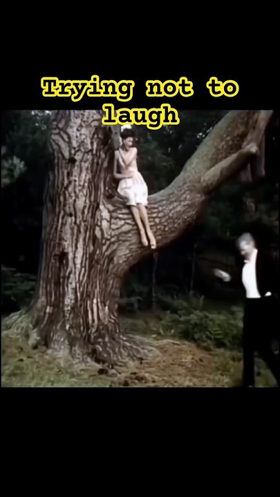Trying not to laugh #funny #shorts #shortsfeed #funnyshorts