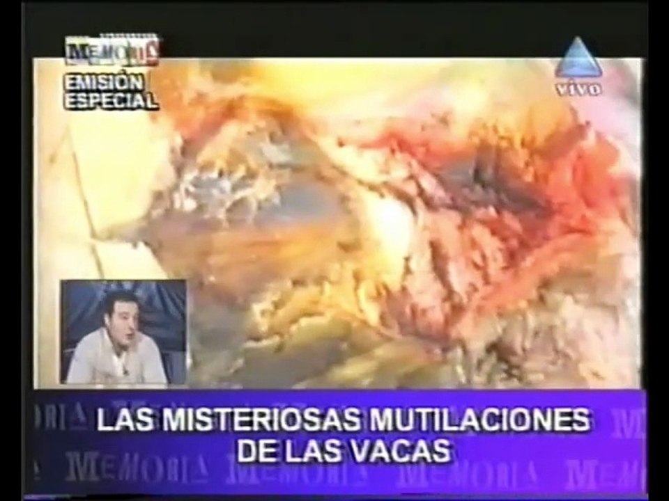 Las misteriosas mutilaciones de las vacas en La Pampa - Memoria (Canal 9, 18/06/02)
