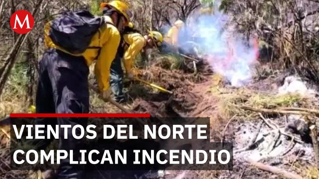 Incendio forestal fuera de control en el Parque Nacional Pico de Orizaba