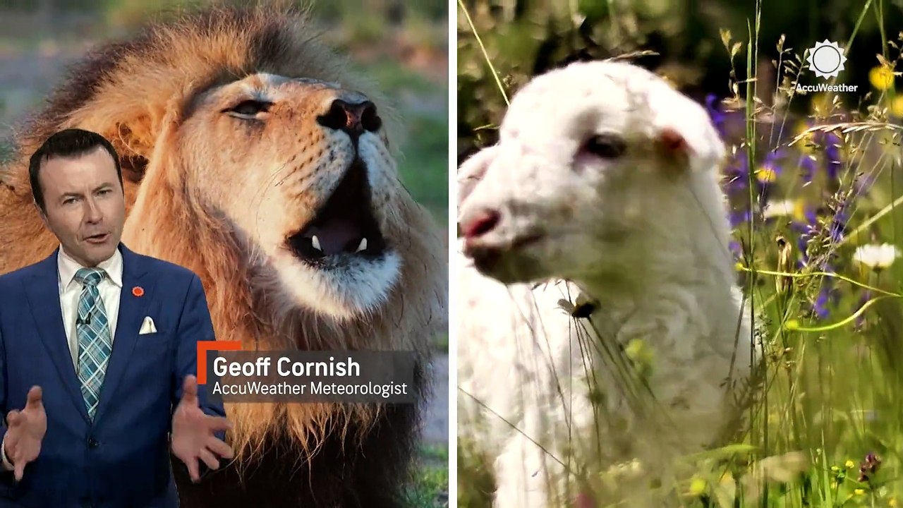 'March comes in like a lion and goes out like a lamb'-but does it really?