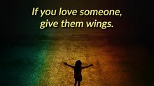 Wings of Love __ Acharya Prashant