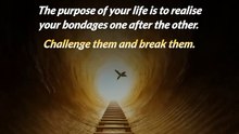 Challenge Your Chains __ Acharya Prashant