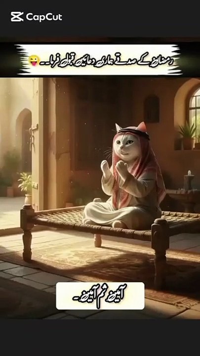 Joy of life with different kinds of videos
