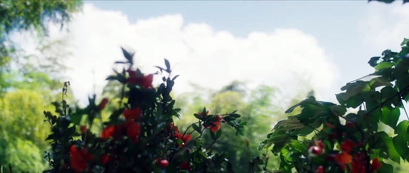 ACTION CHINESE DRAMA "HARD TO FIND S01E14"