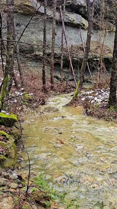 #goldrush #goldriver #gold #goldpan #goldpanning #GoldExtraction #golddigger #goldhunter #goldmines #goldprospecting #goldnugget #GOLDFINDER