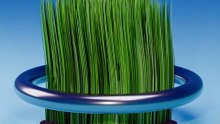 Satisfying 3D Grass Ring Simulation! 🌱 #viral #clothsimulation #blender #satisfying