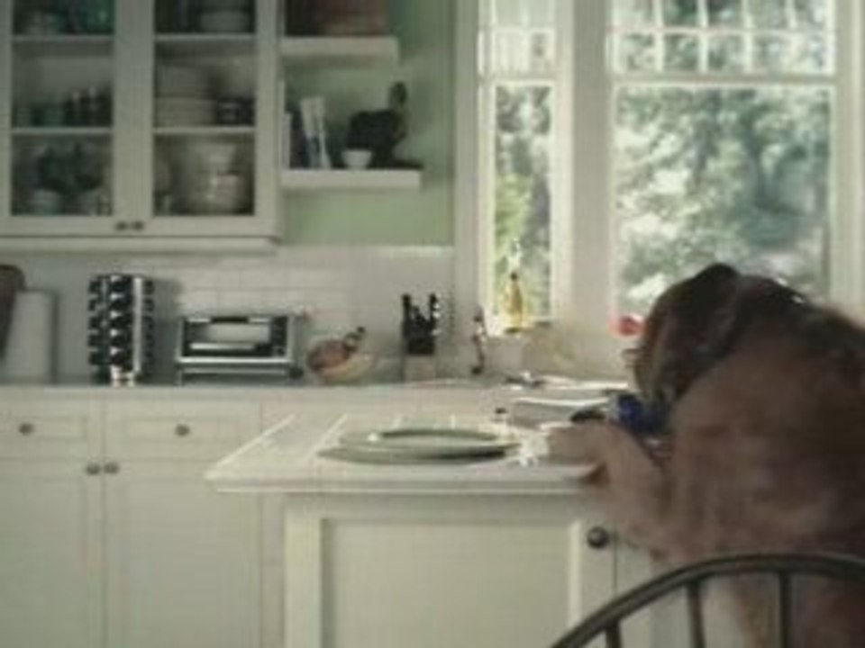 Chien Crime parfait LOL