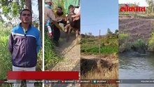 जंगलात वणवा, पाण्यासाठी गव्यांच्या कळपाची धडपड! कालव्यात पडलेल्या गव्याला ग्रामस्थांनी दिले जीवदान