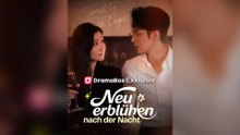 Neu Erblühen Nach Der Nacht (Deutsch Synchronisiert)