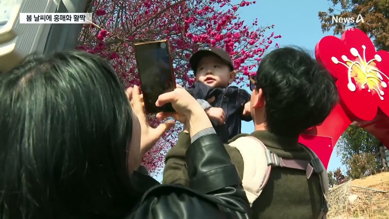낮 기온 18도에 홍매화 활짝…연휴 첫 날 북적