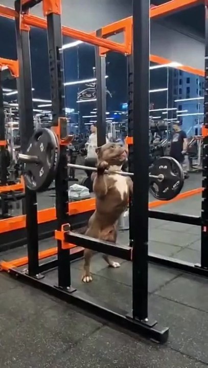 1.1K views · 6.5K reactions   Romeo's Sunday workout 26.10.2025   Jyo John Mulloor