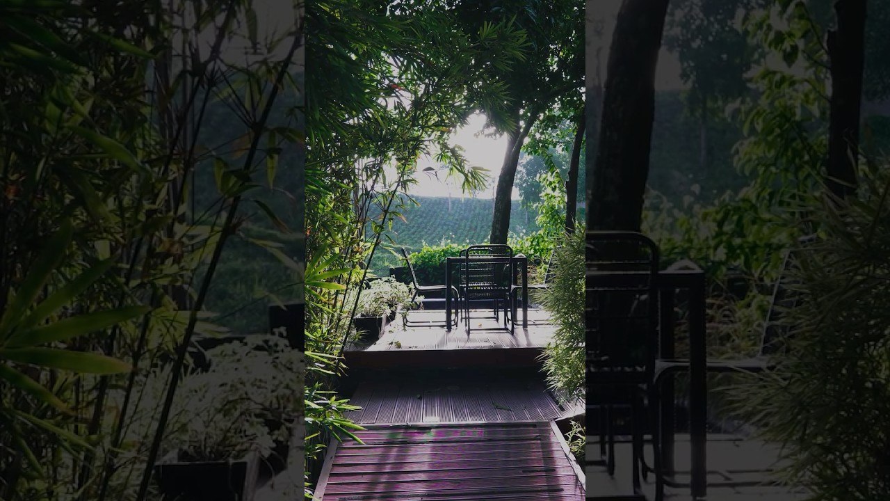 This Resort Was Built Without Cutting a Single Tree. #Ezravinitiresort #bluprint #sustainablility