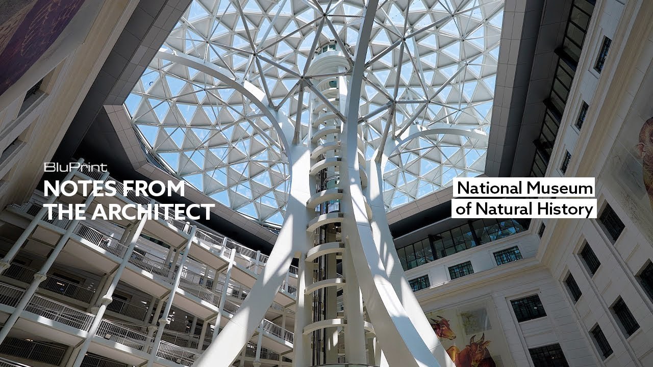 Behind the Restoration of the National Museum of Natural History, Philippines | BluPrint