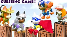 Can the 5 Jumping Paw Patrol Pups guess the Mystery Pup?