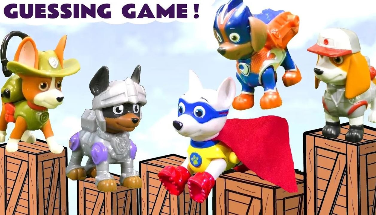 Can the 5 Jumping Paw Patrol Pups guess the Mystery Pup?