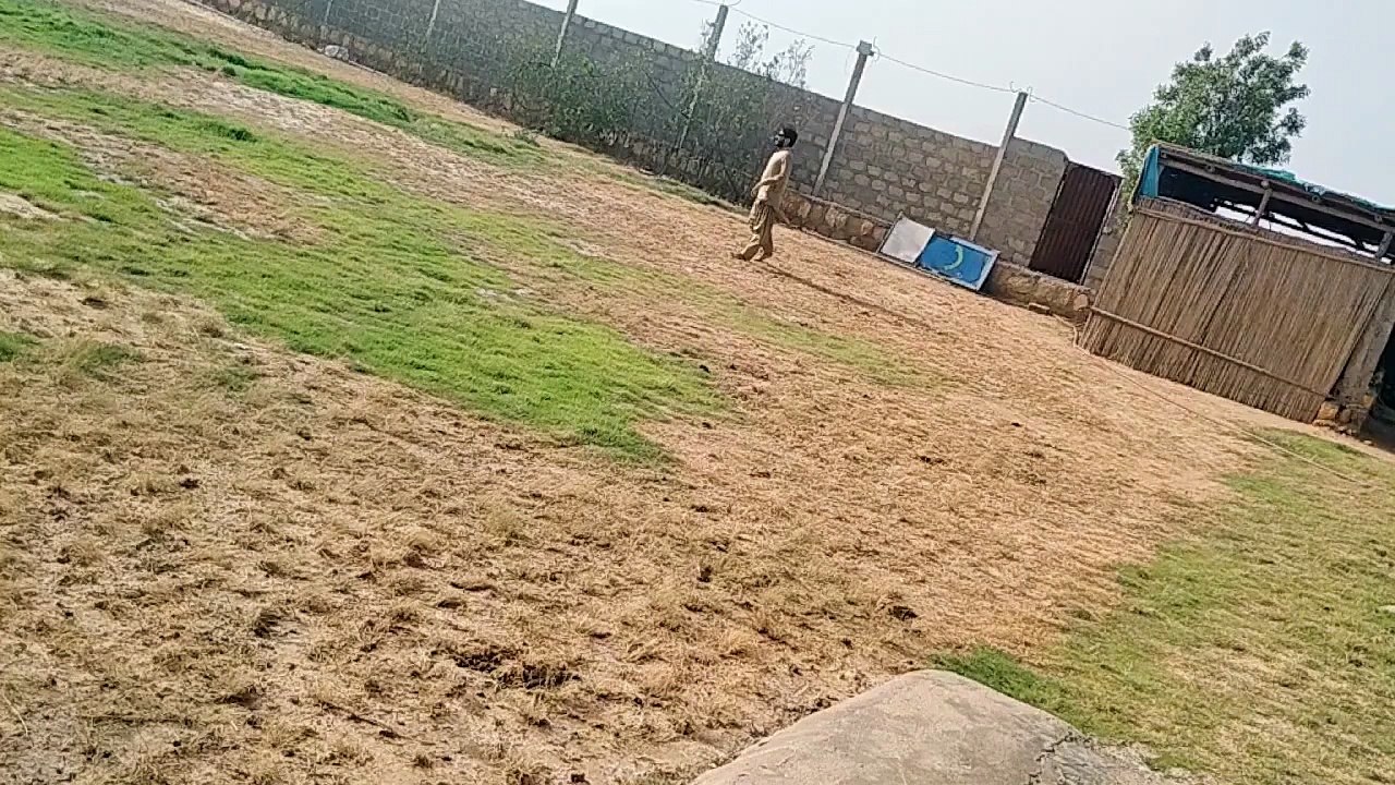 cricket with family 😊💞