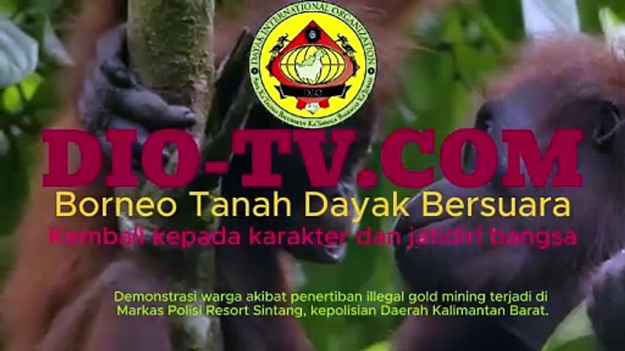 Demonstrasi warga akibat penertiban illegal gold mining terjadi di Markas Polisi Resort Sintang, kepolisian Daerah Kalimantan Barat.