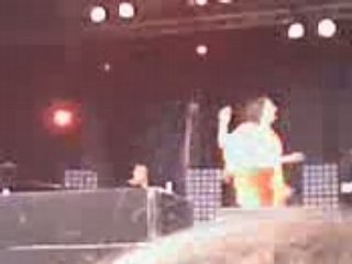 papillon de nuit camille