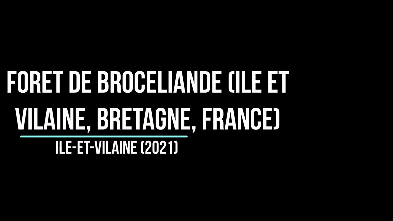 Voyage : Forêt de Brocéliande Partie 1 (Ile Et Vilaine, Bretagne, France, 2021)