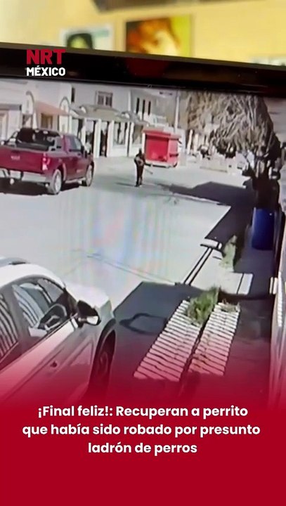 🐶❤️ Un perrito que había sido rob@do finalmente fue rescatado y regresó con sus dueños, quienes vivieron momentos de angustia tras su desaparición.