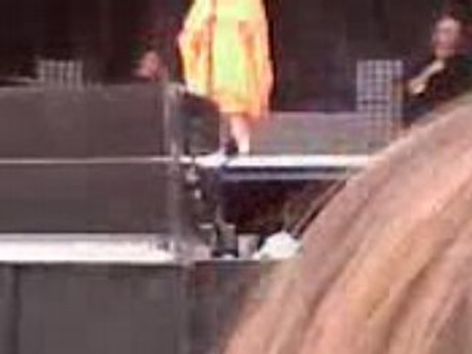 papillon de nuit camille