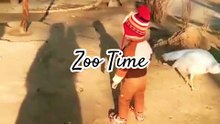 Zoo Time