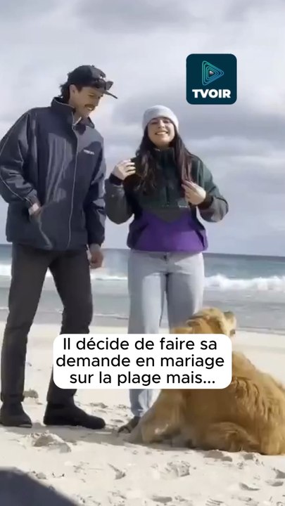 C’est la plus belle demande en mariage ! 🤩💍